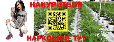 стафф Балаково