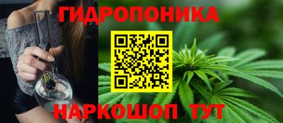 стафф Балаково