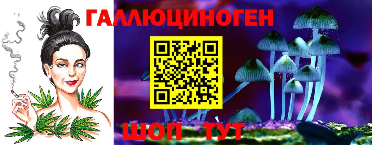 Дербент  Псилоцибиновые грибы прущие грибы  Вход с VPN  Псилоцибиновые грибы MAGIC MUSHROOMS 
